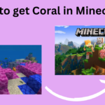 How to get Coral in Minecraft